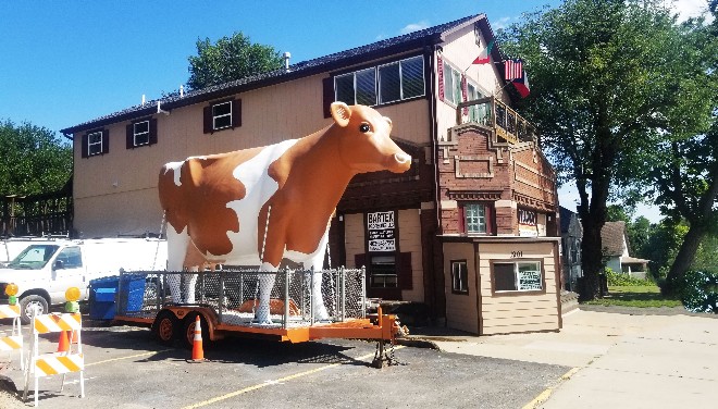 Traco Home Page Cow Cow